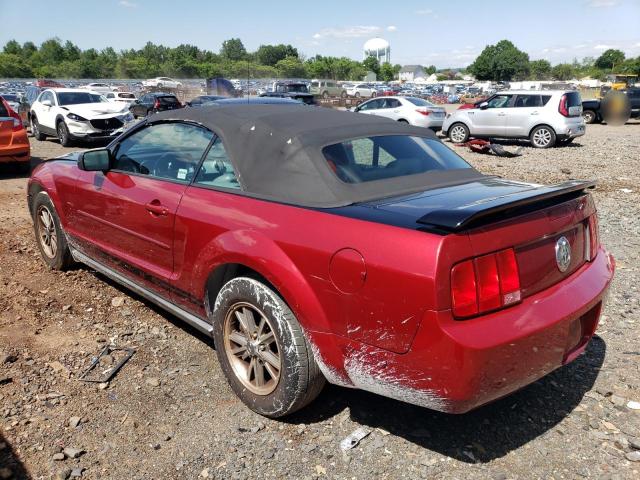 Photo 1 VIN: 1ZVFT84N955209010 - FORD MUSTANG 