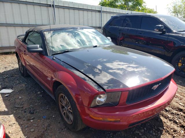 Photo 3 VIN: 1ZVFT84N955209010 - FORD MUSTANG 