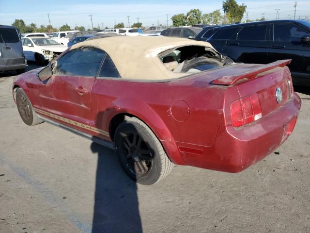 Photo 1 VIN: 1ZVFT84N955216457 - FORD MUSTANG 