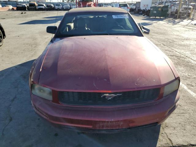 Photo 4 VIN: 1ZVFT84N955216457 - FORD MUSTANG 