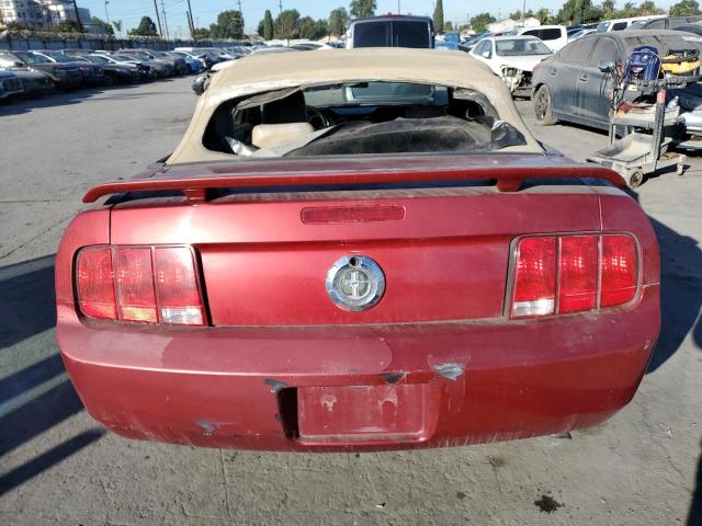 Photo 5 VIN: 1ZVFT84N955216457 - FORD MUSTANG 