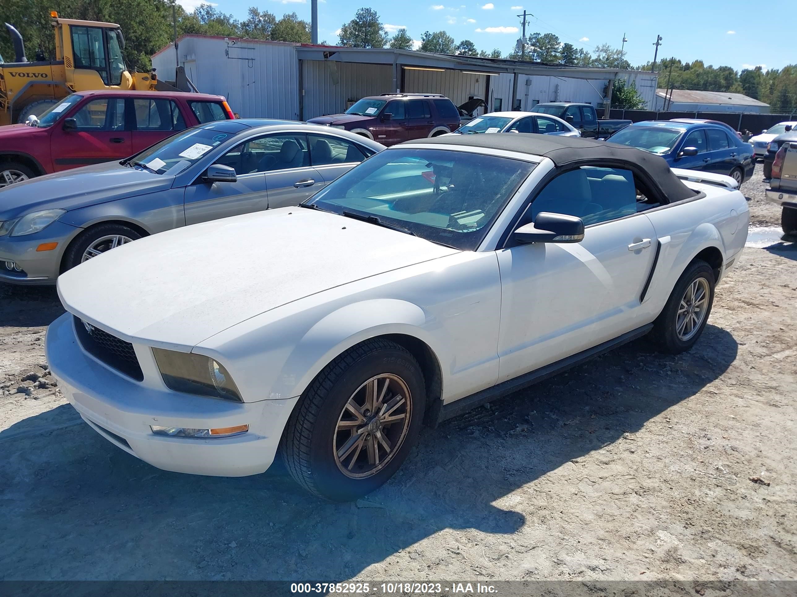 Photo 1 VIN: 1ZVFT84N975197542 - FORD MUSTANG 