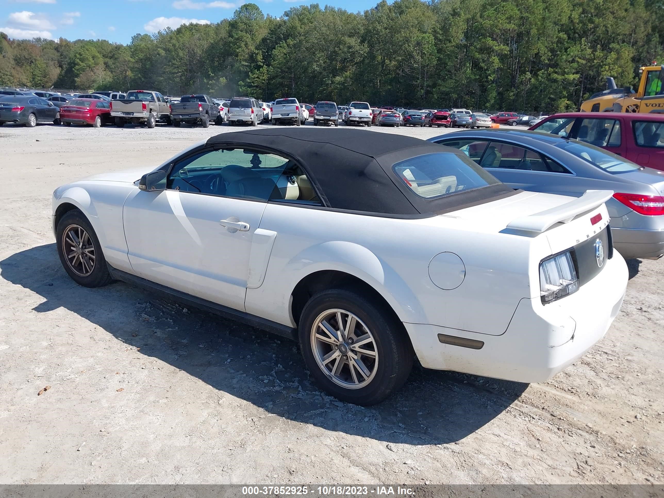 Photo 2 VIN: 1ZVFT84N975197542 - FORD MUSTANG 