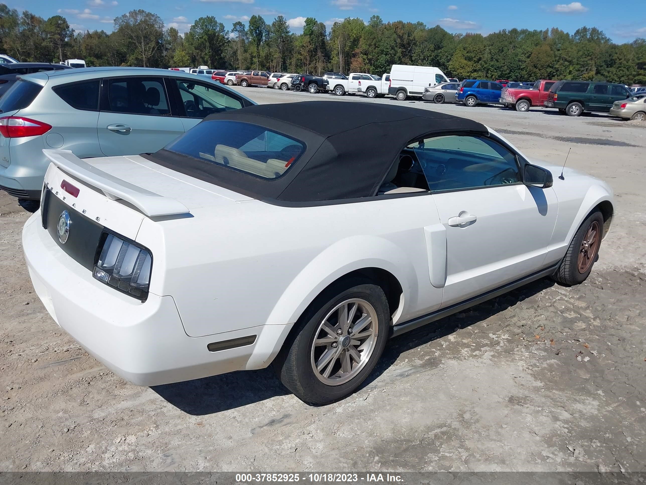 Photo 3 VIN: 1ZVFT84N975197542 - FORD MUSTANG 