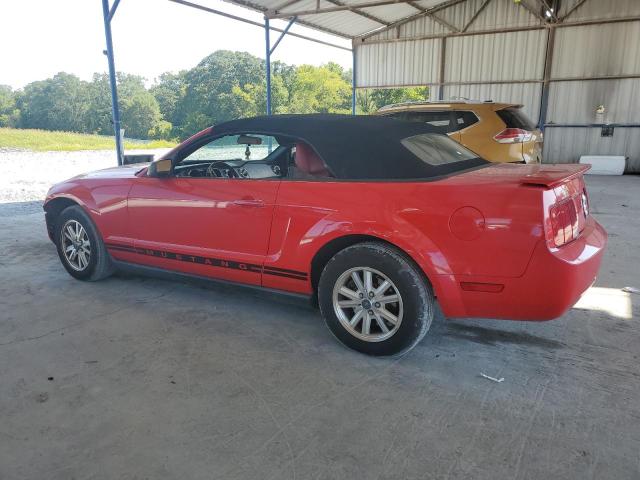 Photo 1 VIN: 1ZVFT84N975257786 - FORD MUSTANG 