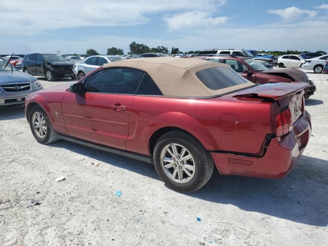 Photo 1 VIN: 1ZVFT84N975260767 - FORD MUSTANG 