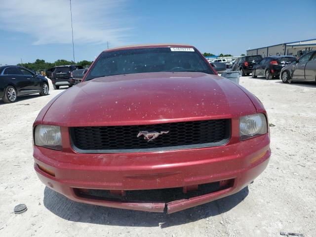 Photo 4 VIN: 1ZVFT84N975260767 - FORD MUSTANG 