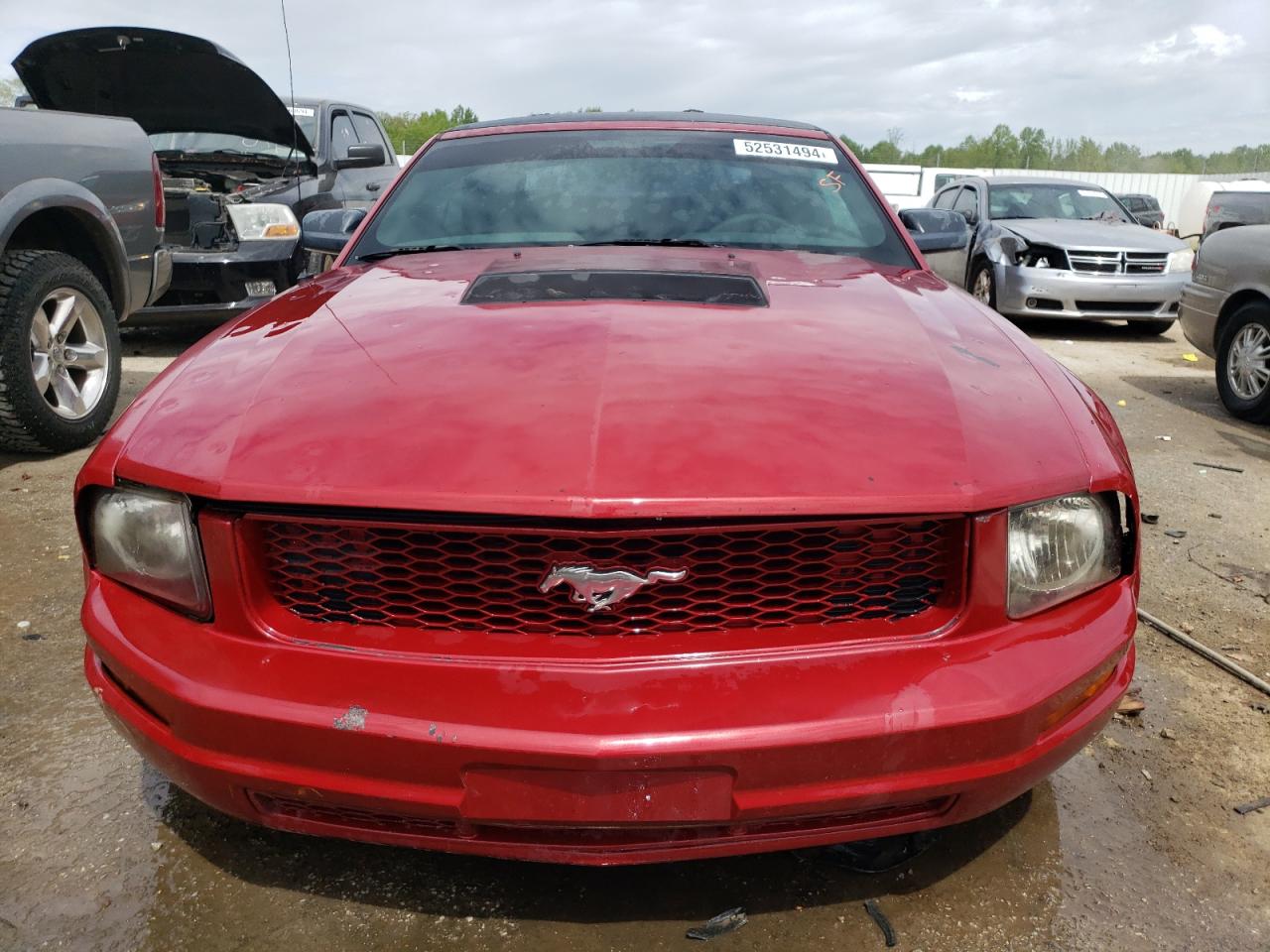 Photo 4 VIN: 1ZVFT84N975303617 - FORD MUSTANG 