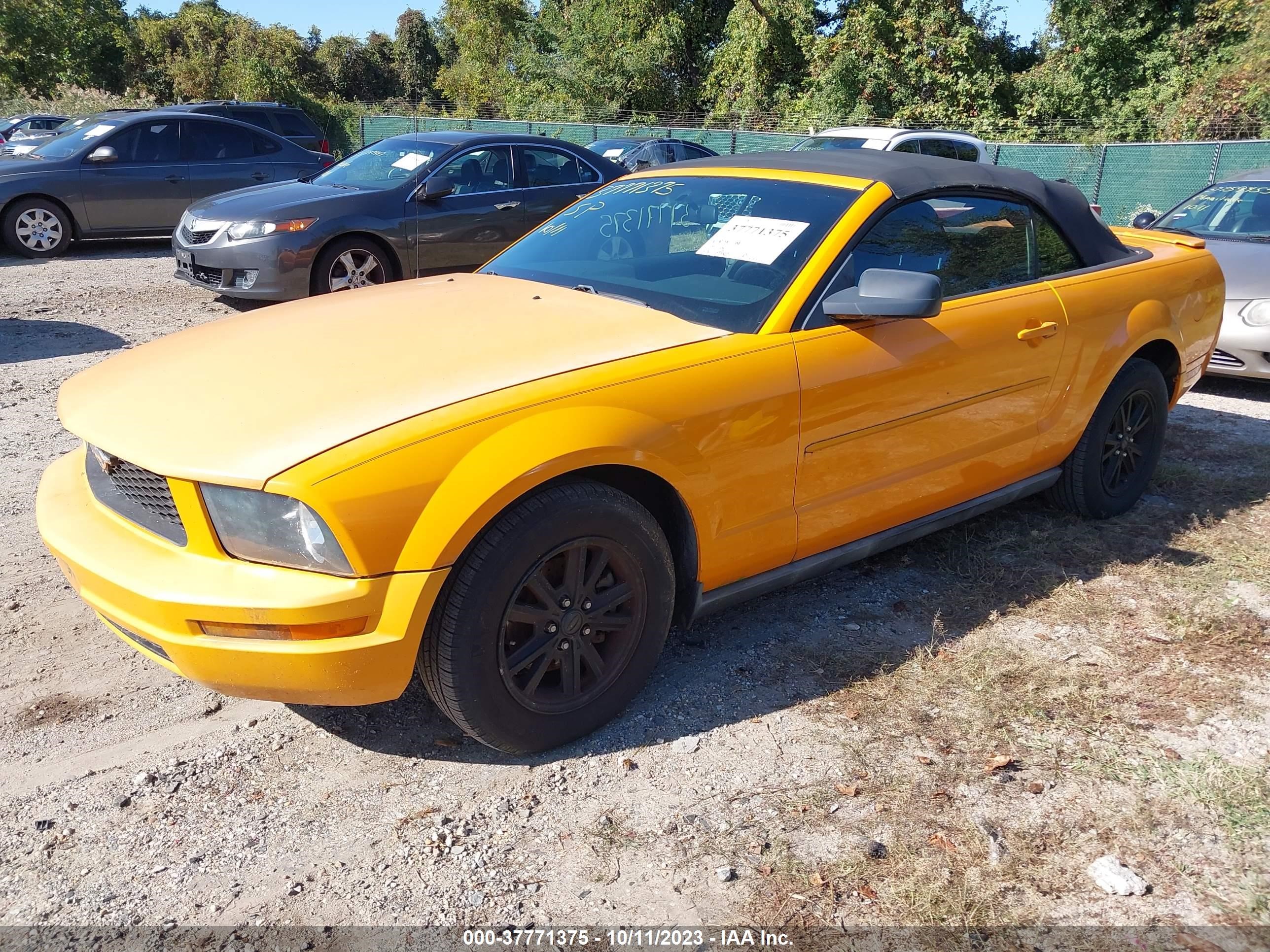 Photo 1 VIN: 1ZVFT84N975321812 - FORD MUSTANG 