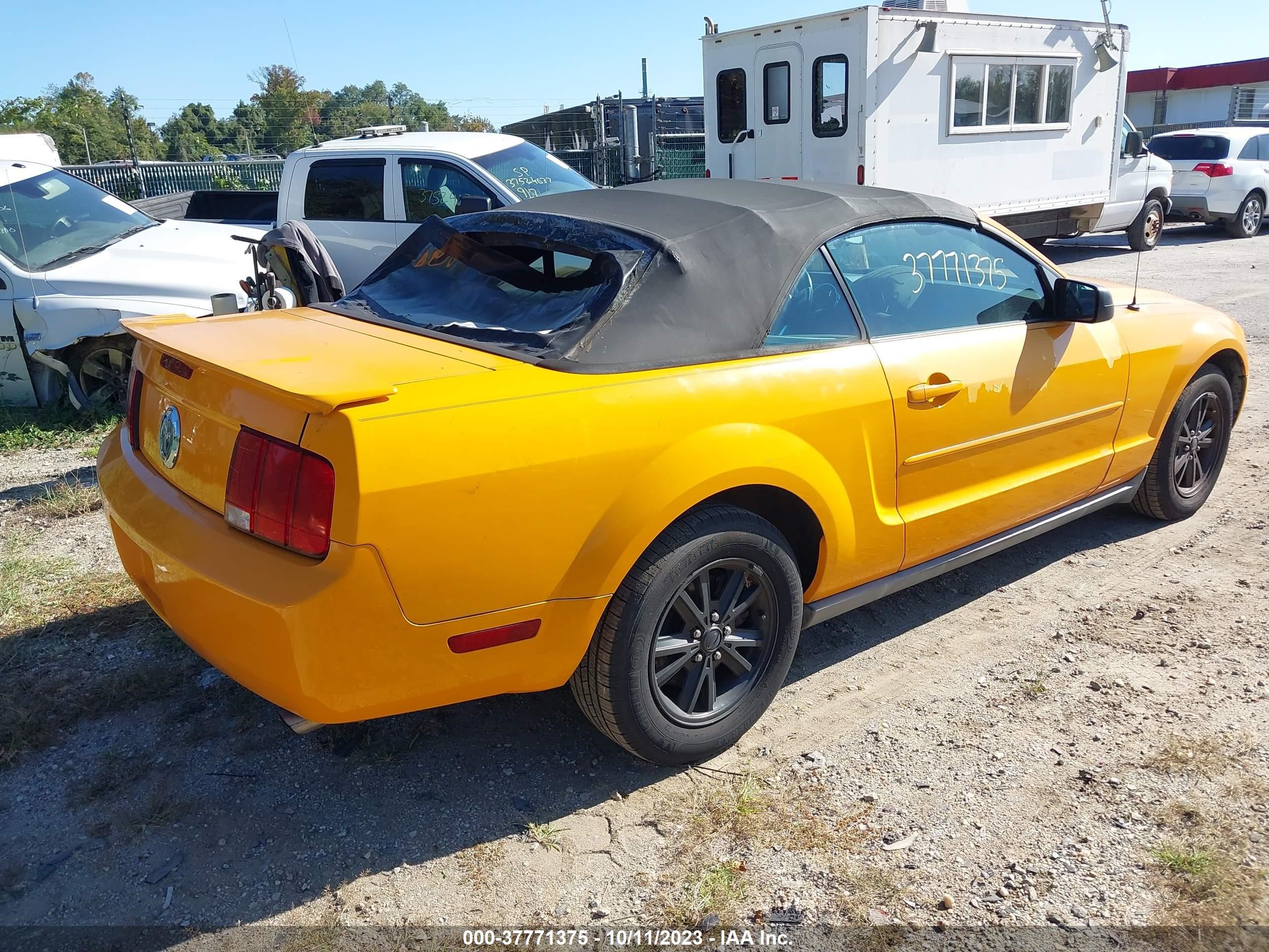 Photo 3 VIN: 1ZVFT84N975321812 - FORD MUSTANG 