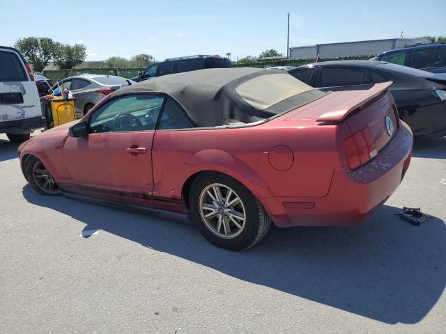 Photo 1 VIN: 1ZVFT84NX55233686 - FORD MUSTANG 