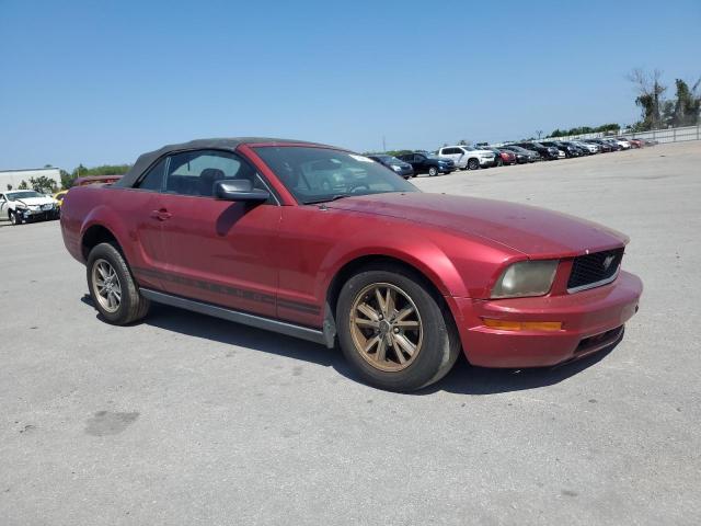 Photo 3 VIN: 1ZVFT84NX55233686 - FORD MUSTANG 