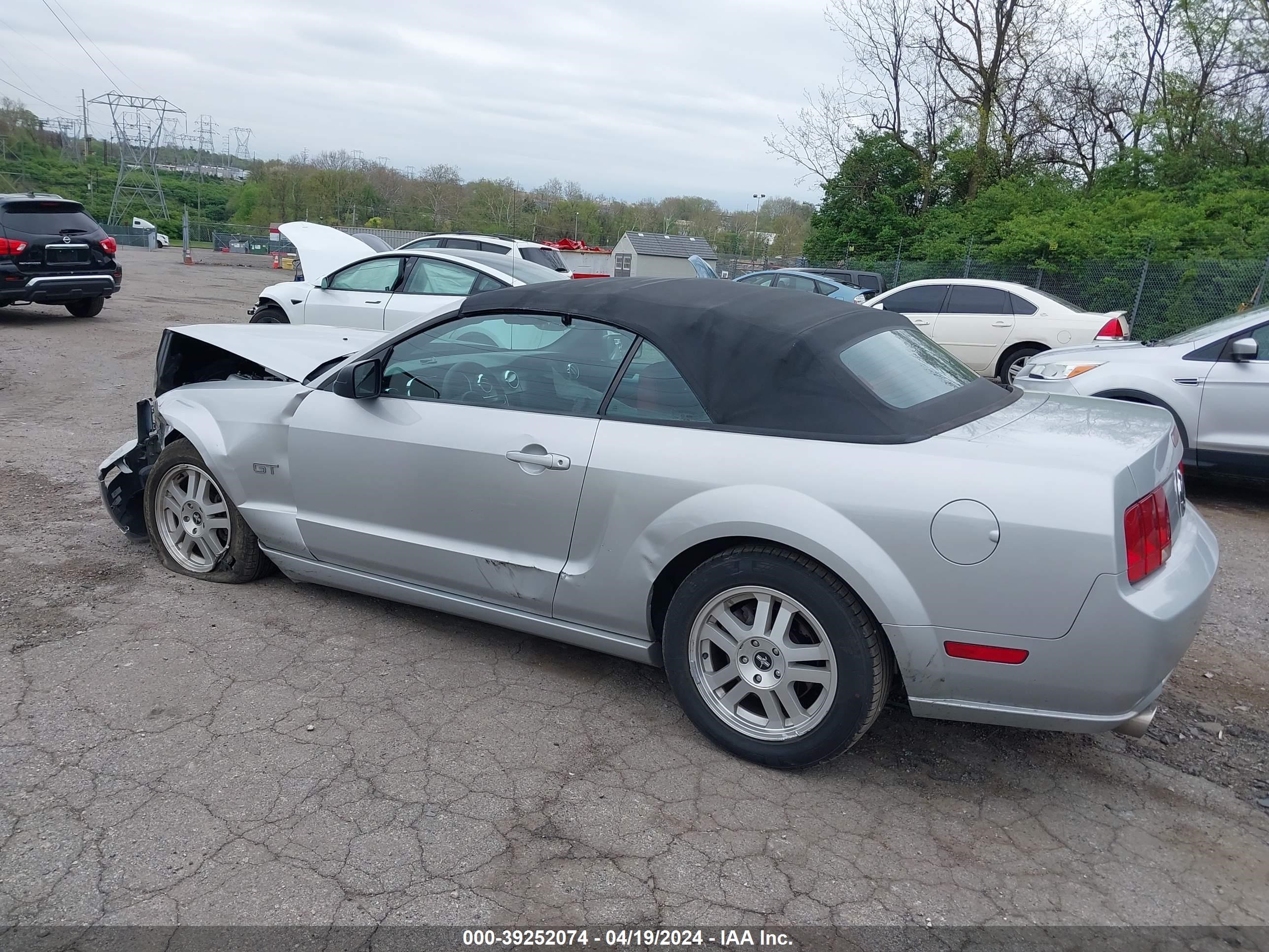 Photo 2 VIN: 1ZVFT85H075214379 - FORD MUSTANG 