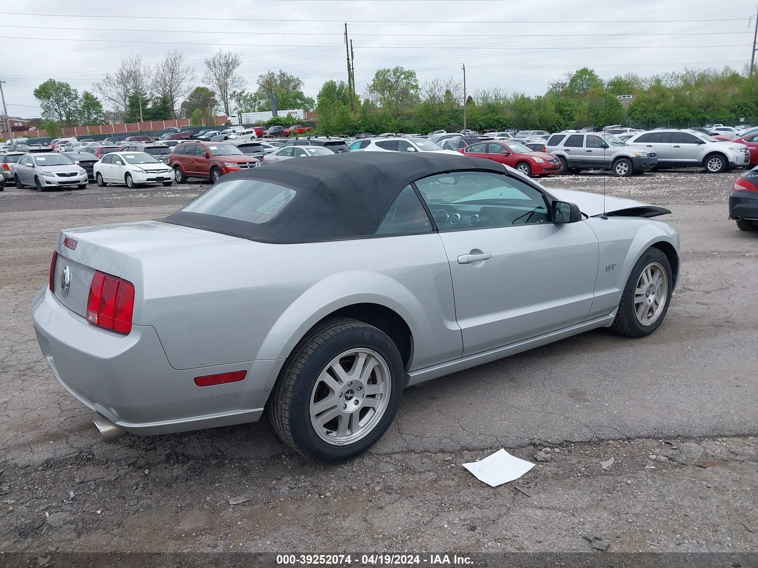 Photo 3 VIN: 1ZVFT85H075214379 - FORD MUSTANG 