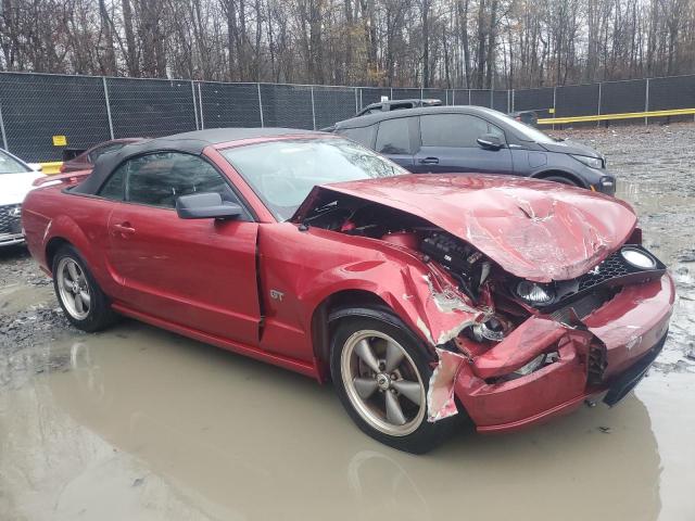 Photo 3 VIN: 1ZVFT85H355227074 - FORD MUSTANG GT 