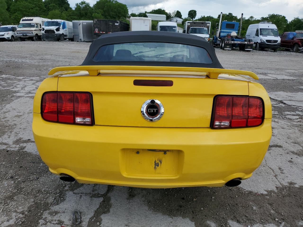 Photo 5 VIN: 1ZVFT85H365266264 - FORD MUSTANG 