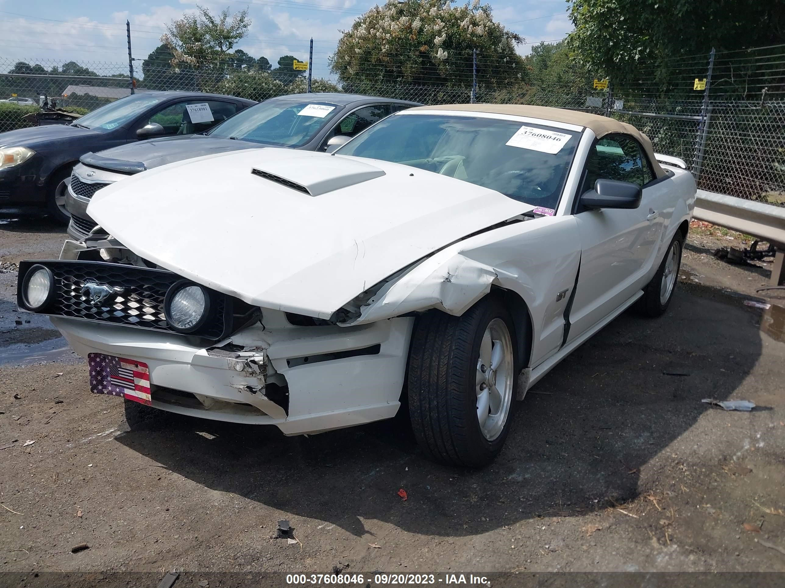 Photo 1 VIN: 1ZVFT85H475304392 - FORD MUSTANG 