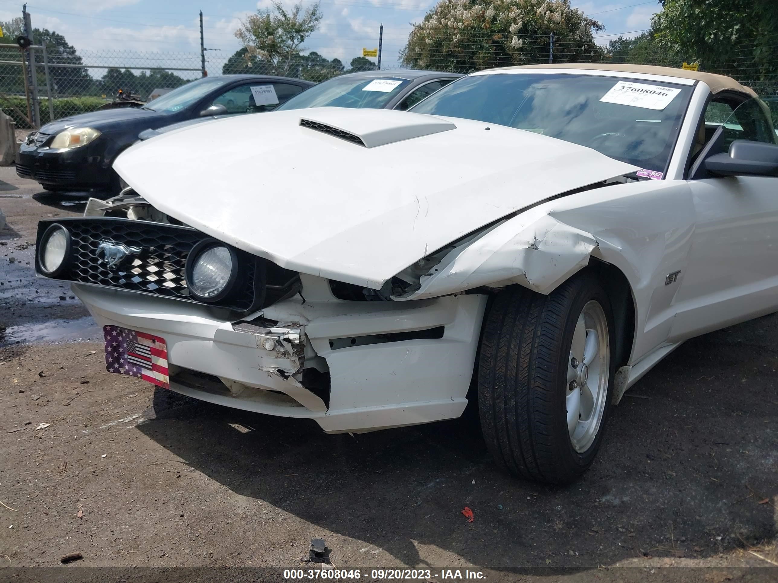 Photo 5 VIN: 1ZVFT85H475304392 - FORD MUSTANG 