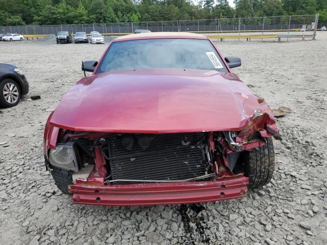 Photo 4 VIN: 1ZVFT85H755100215 - FORD MUSTANG GT 