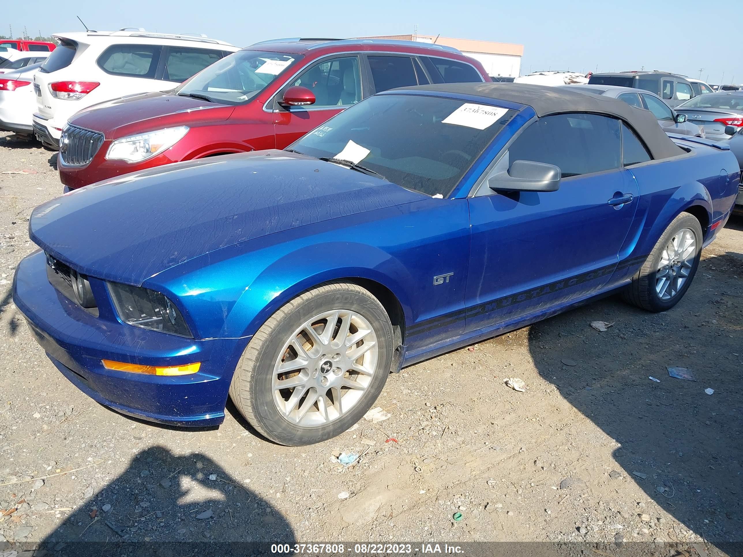 Photo 1 VIN: 1ZVFT85H765137847 - FORD MUSTANG 