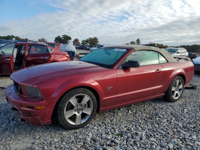 Photo 0 VIN: 1ZVFT85H865173093 - FORD MUSTANG GT 