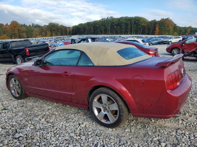 Photo 1 VIN: 1ZVFT85H865173093 - FORD MUSTANG GT 