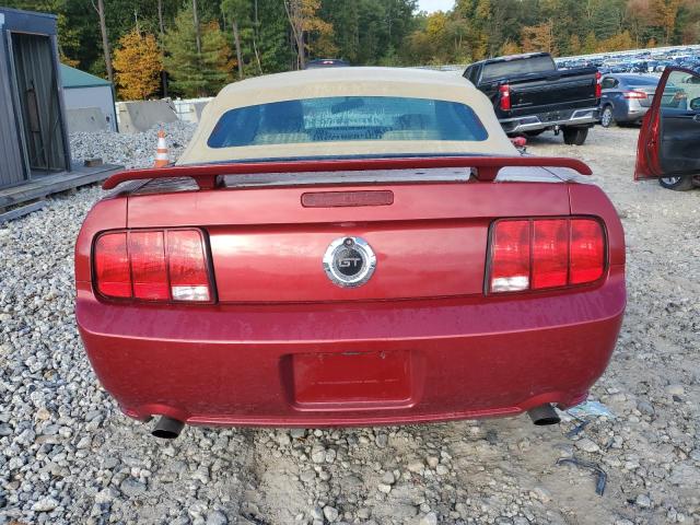 Photo 5 VIN: 1ZVFT85H865173093 - FORD MUSTANG GT 