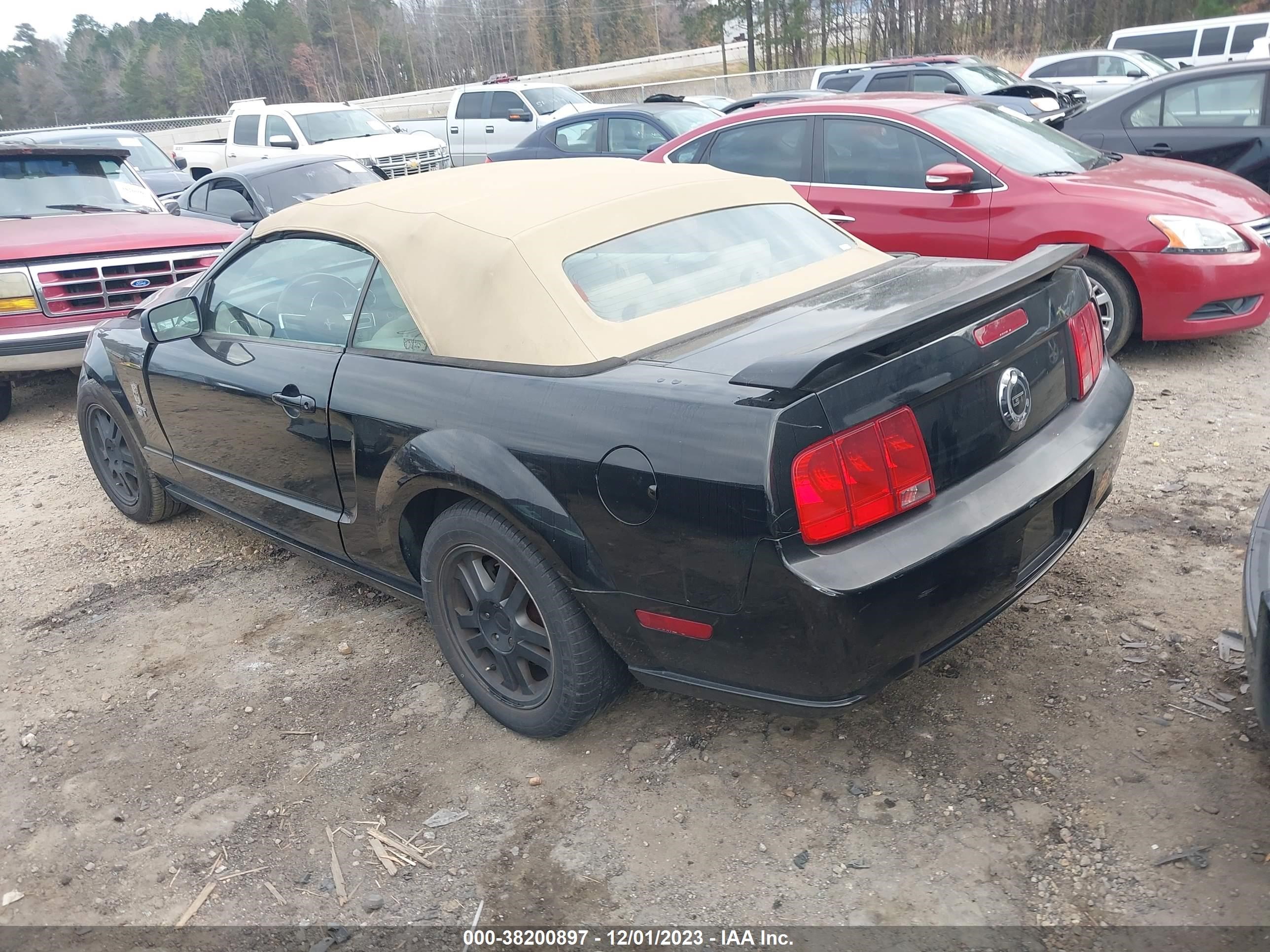 Photo 2 VIN: 1ZVFT85HX55192422 - FORD MUSTANG 