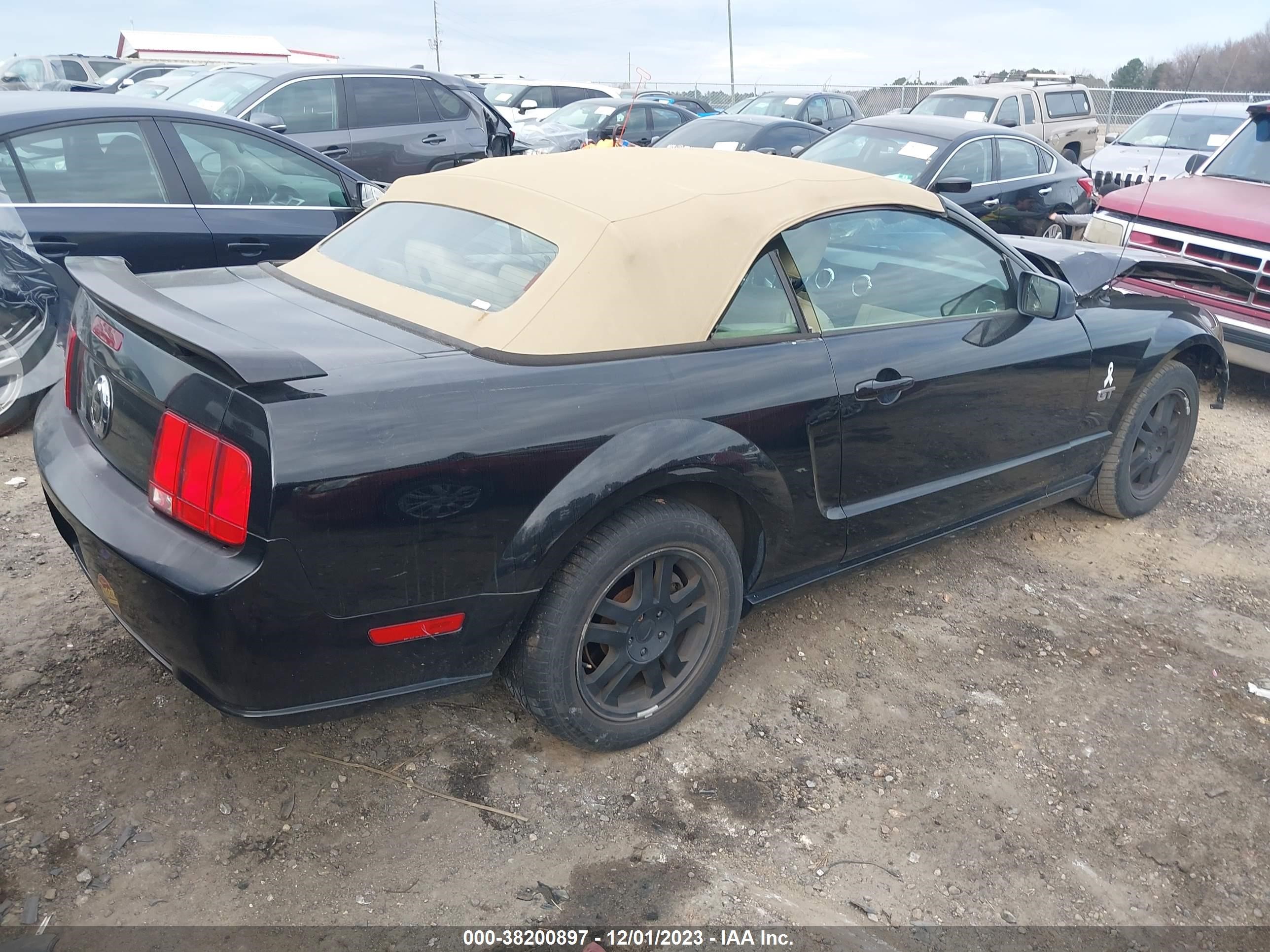 Photo 3 VIN: 1ZVFT85HX55192422 - FORD MUSTANG 