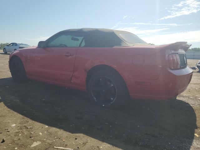 Photo 1 VIN: 1ZVFT85HX65223976 - FORD MUSTANG 