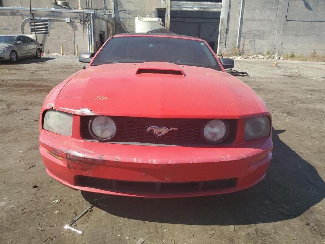 Photo 4 VIN: 1ZVFT85HX65223976 - FORD MUSTANG 