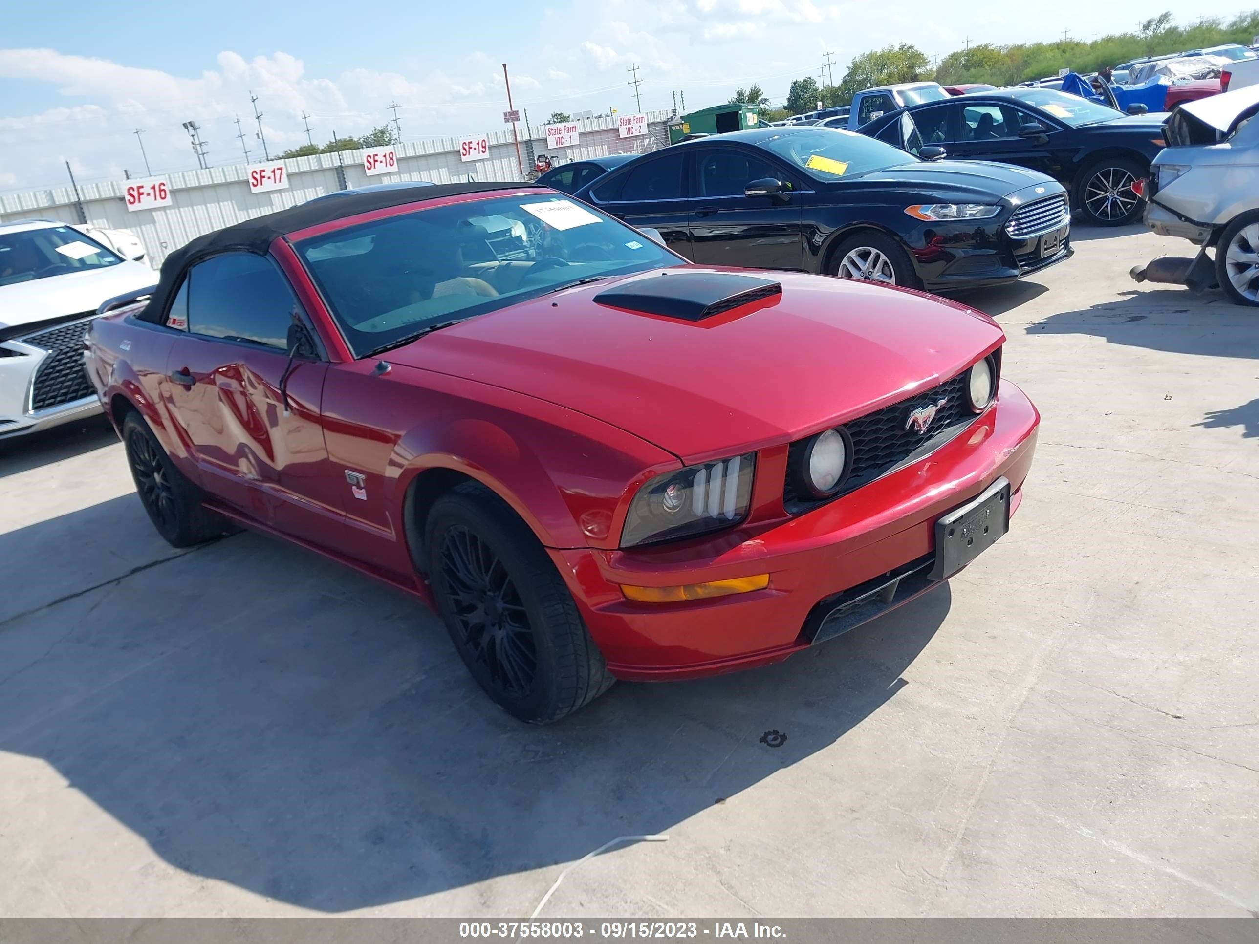 Photo 0 VIN: 1ZVFT85HX75256218 - FORD MUSTANG 