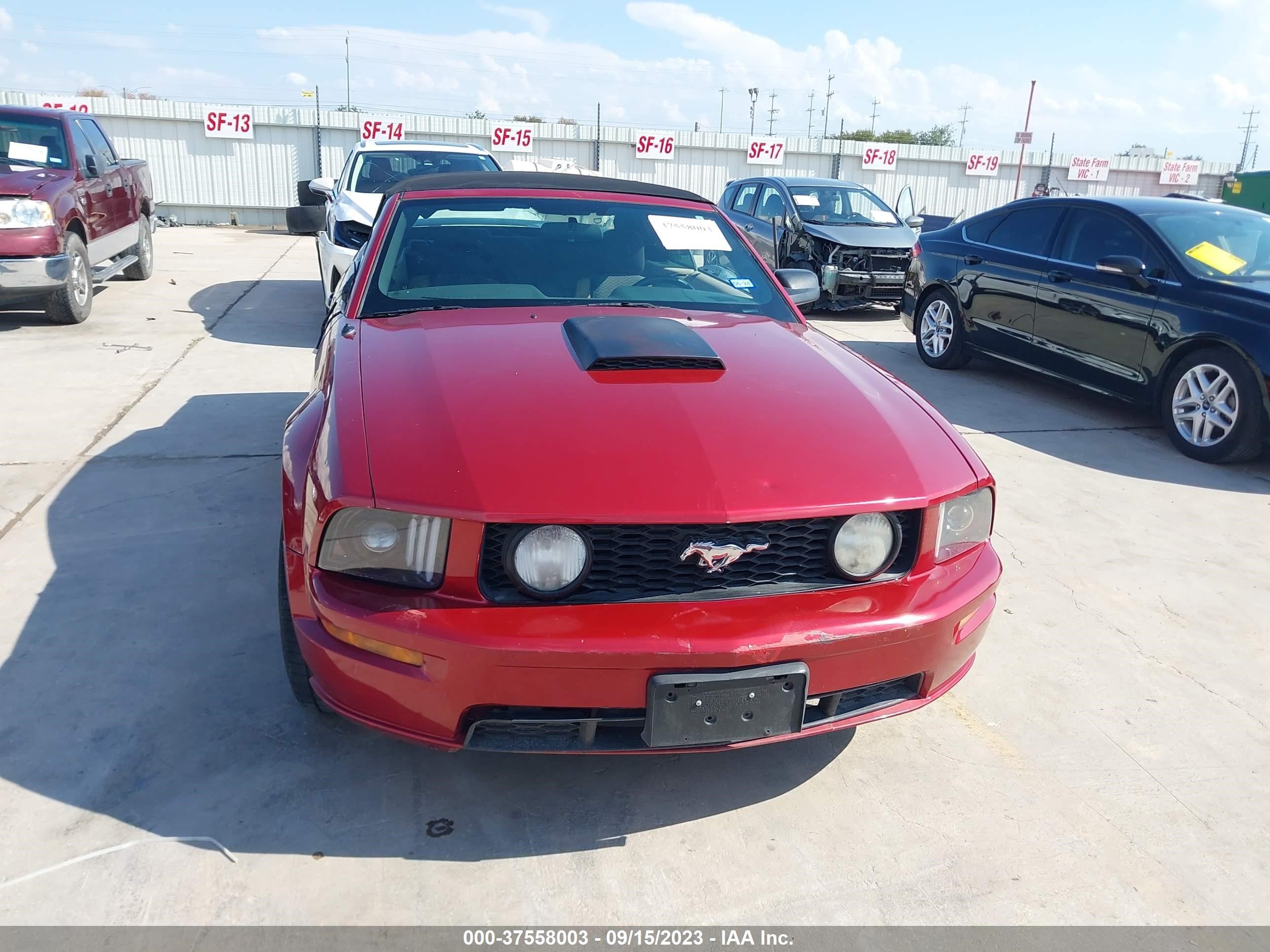 Photo 11 VIN: 1ZVFT85HX75256218 - FORD MUSTANG 