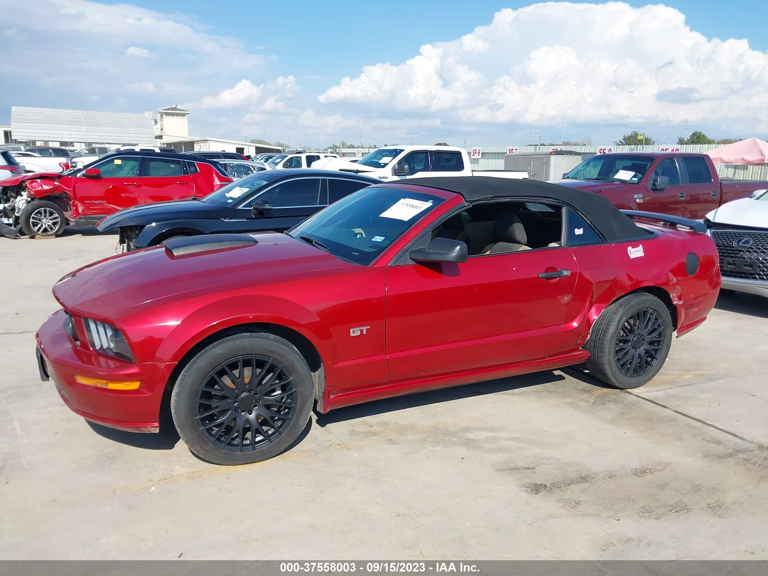 Photo 13 VIN: 1ZVFT85HX75256218 - FORD MUSTANG 