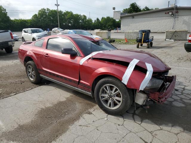 Photo 3 VIN: 1ZVHT80N055224767 - FORD MUSTANG 