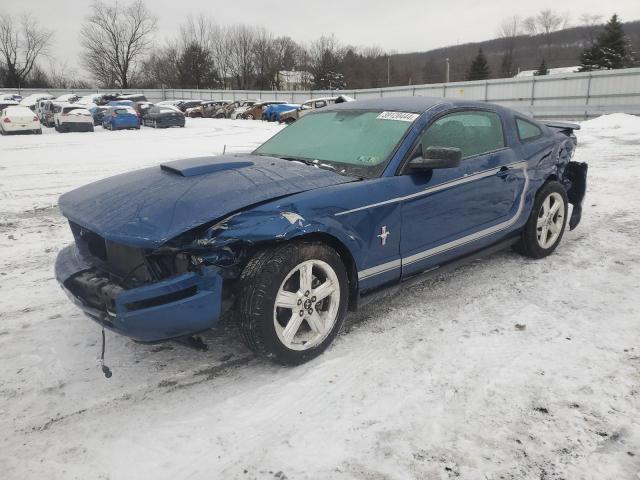 Photo 0 VIN: 1ZVHT80N085128691 - FORD MUSTANG 