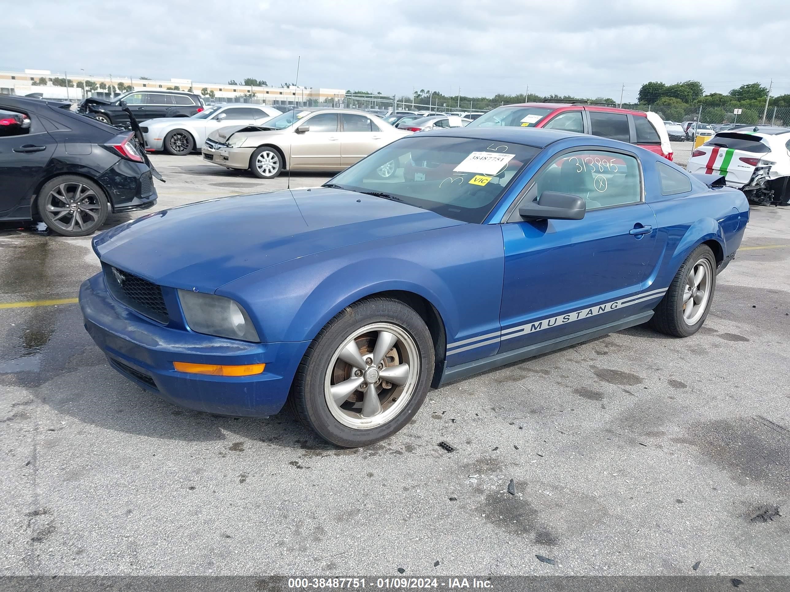 Photo 1 VIN: 1ZVHT80N085130764 - FORD MUSTANG 