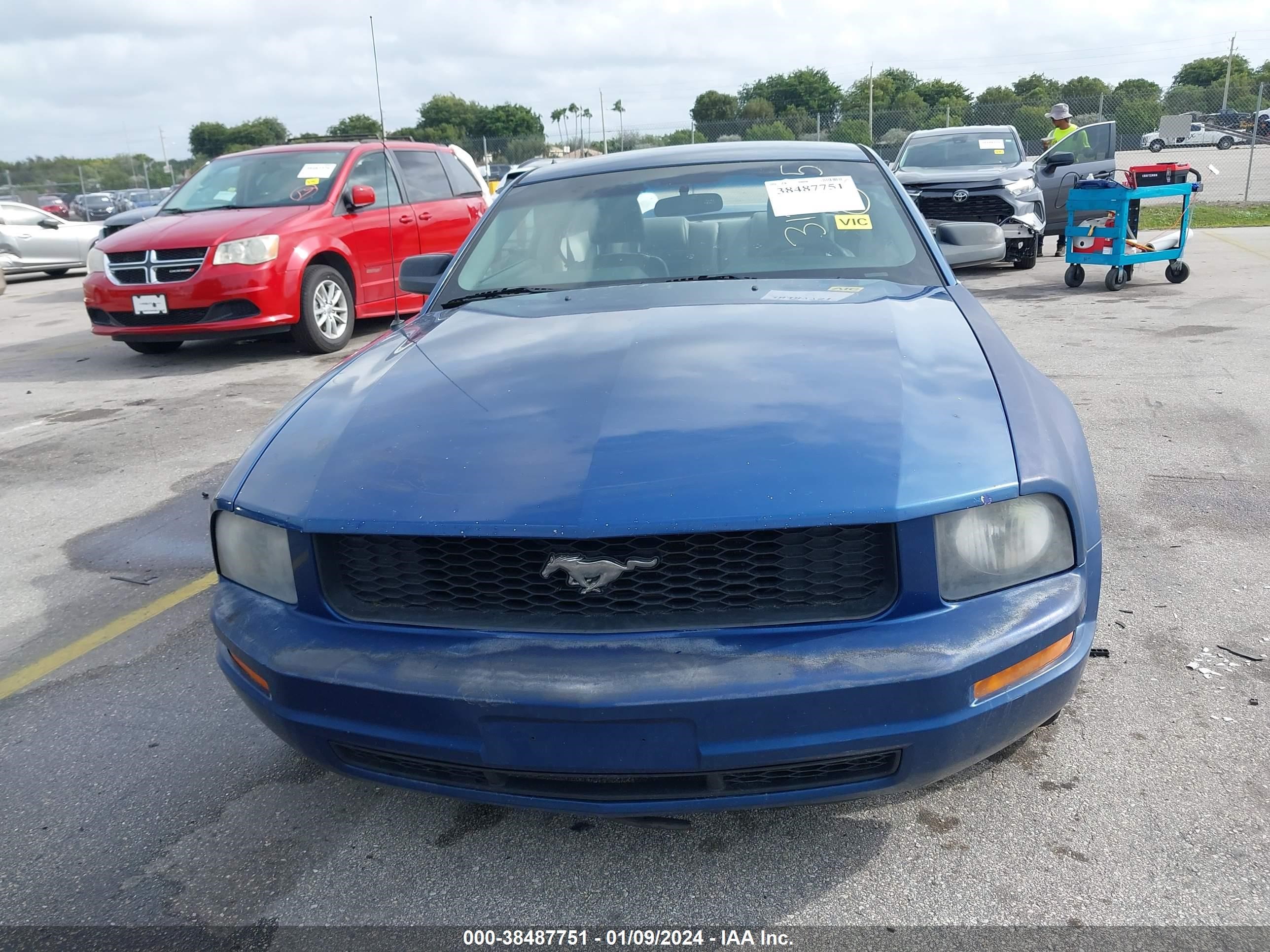 Photo 11 VIN: 1ZVHT80N085130764 - FORD MUSTANG 