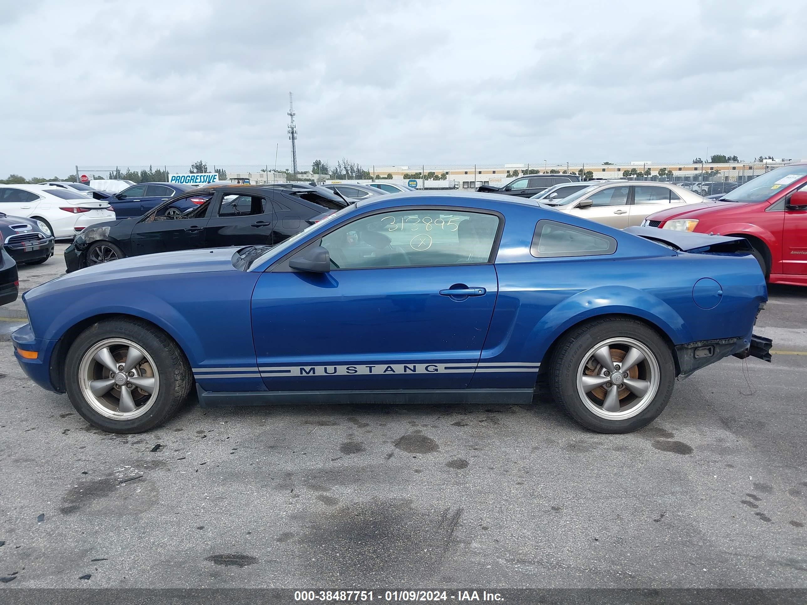 Photo 13 VIN: 1ZVHT80N085130764 - FORD MUSTANG 