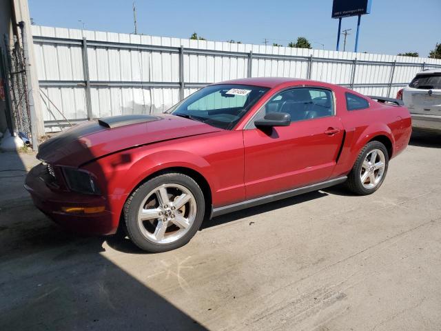 Photo 0 VIN: 1ZVHT80N085187689 - FORD MUSTANG 