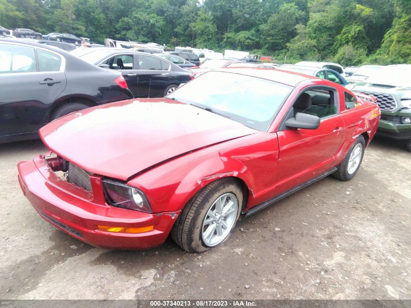 Photo 1 VIN: 1ZVHT80N095123010 - FORD MUSTANG 