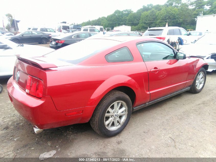 Photo 3 VIN: 1ZVHT80N095123010 - FORD MUSTANG 