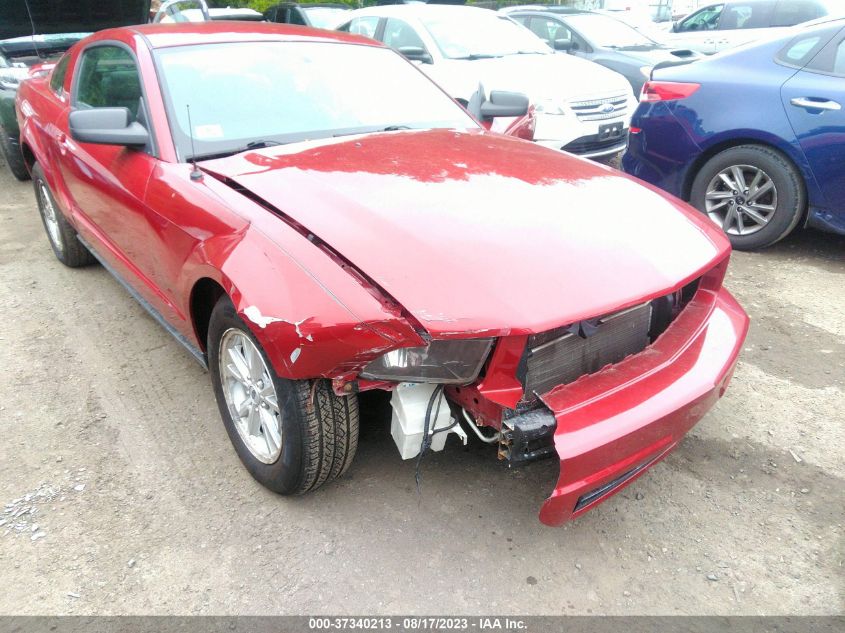 Photo 5 VIN: 1ZVHT80N095123010 - FORD MUSTANG 