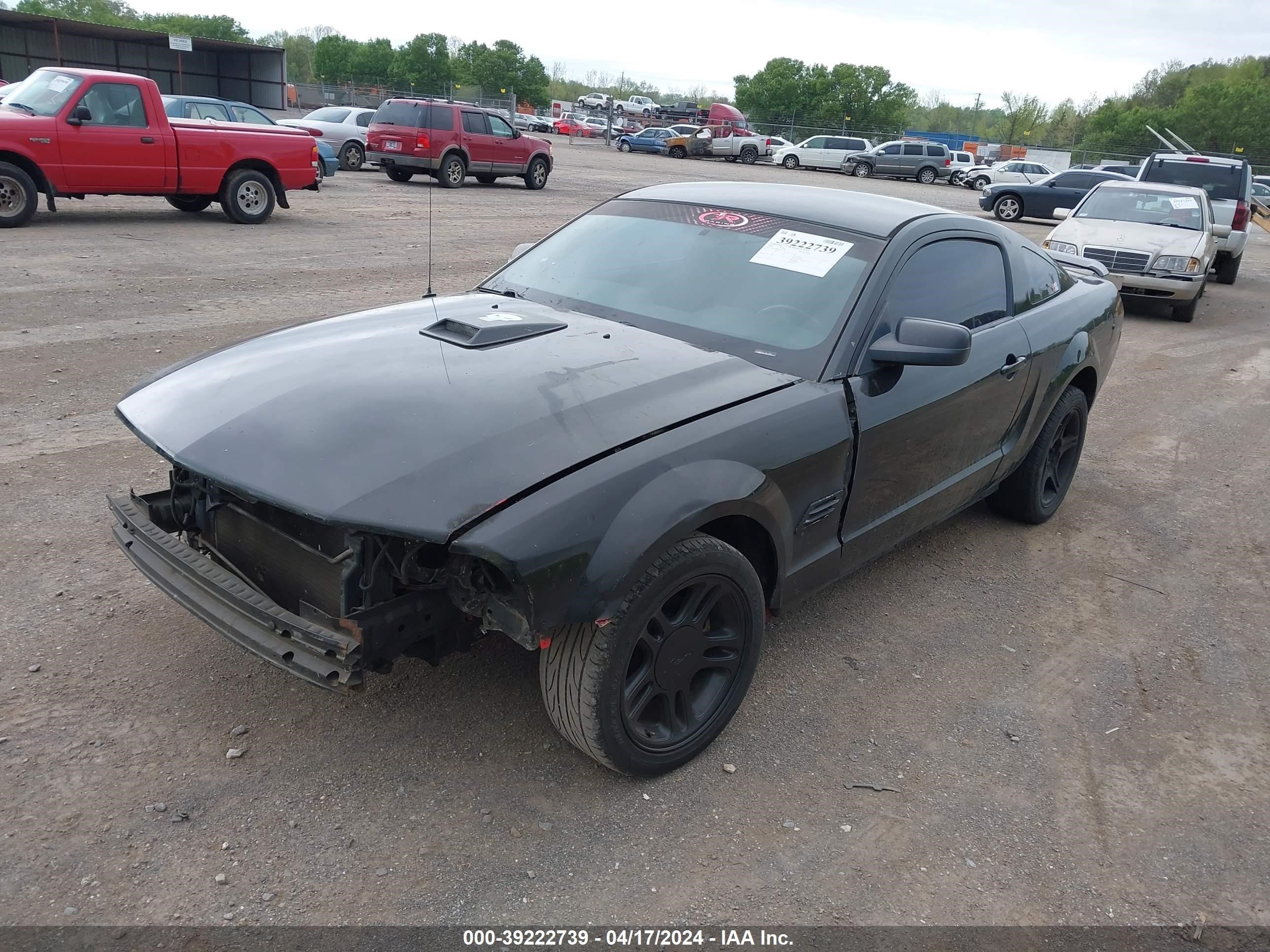 Photo 1 VIN: 1ZVHT80N165157789 - FORD MUSTANG 