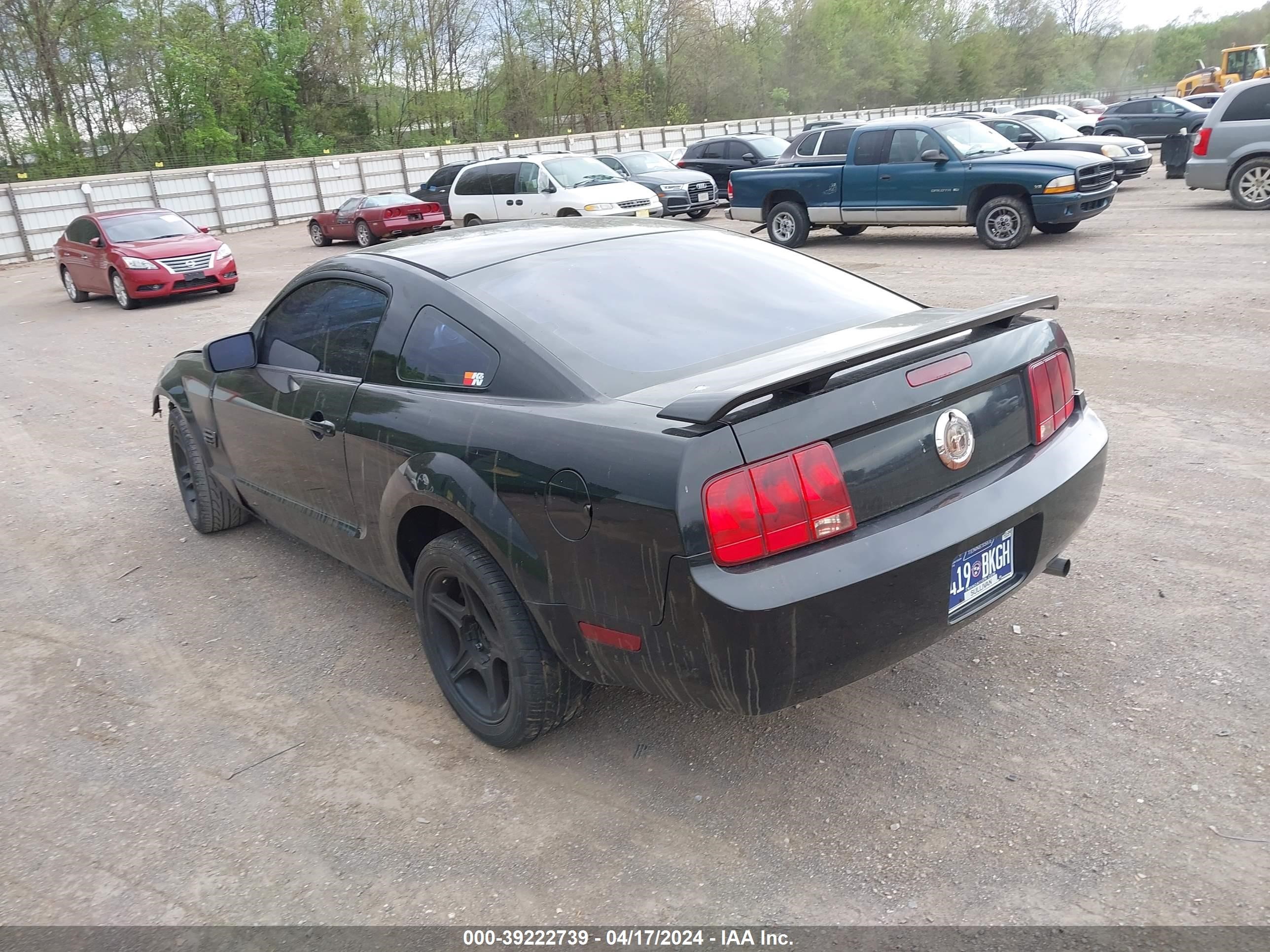 Photo 2 VIN: 1ZVHT80N165157789 - FORD MUSTANG 