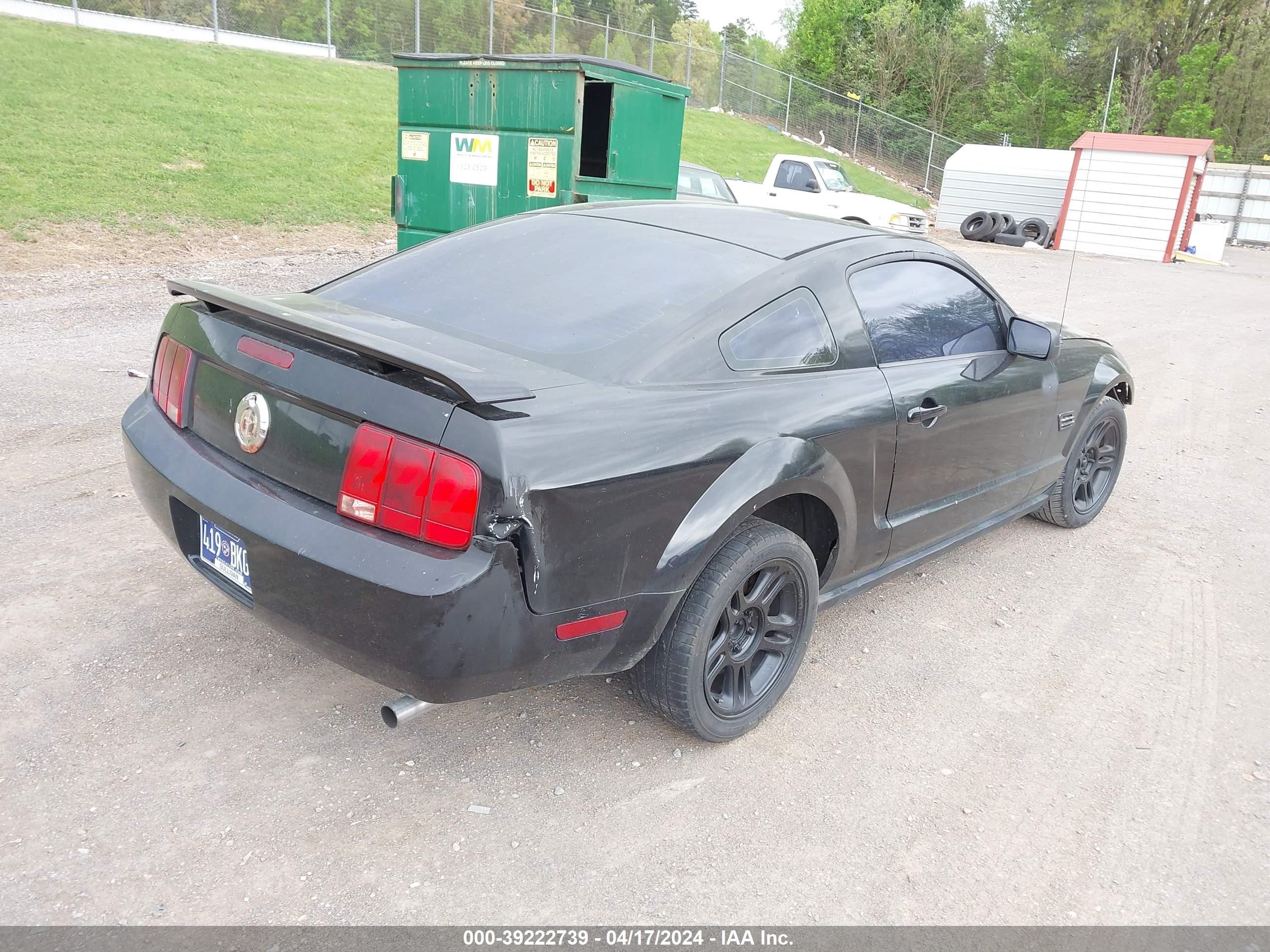 Photo 3 VIN: 1ZVHT80N165157789 - FORD MUSTANG 