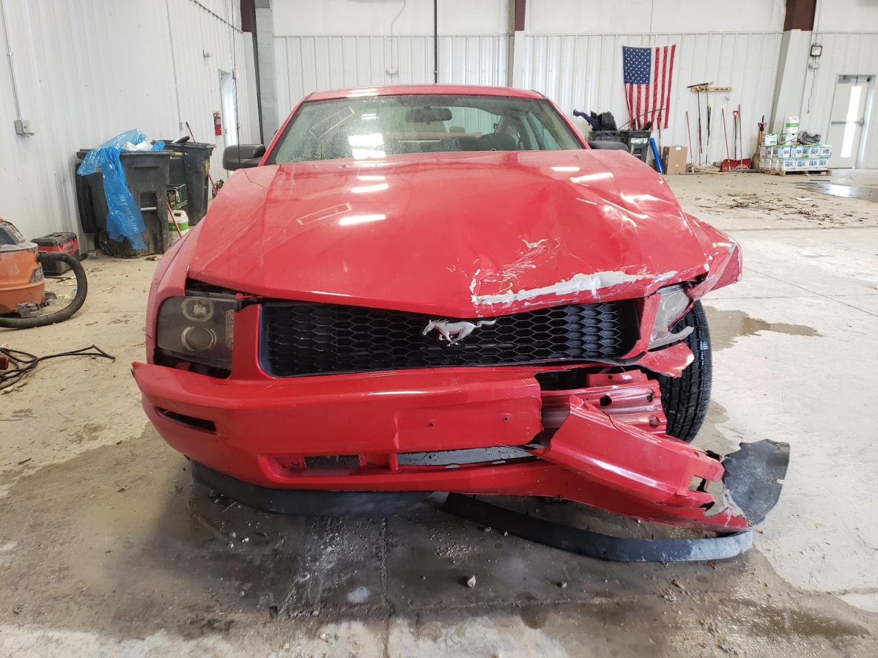 Photo 4 VIN: 1ZVHT80N165173118 - FORD MUSTANG 