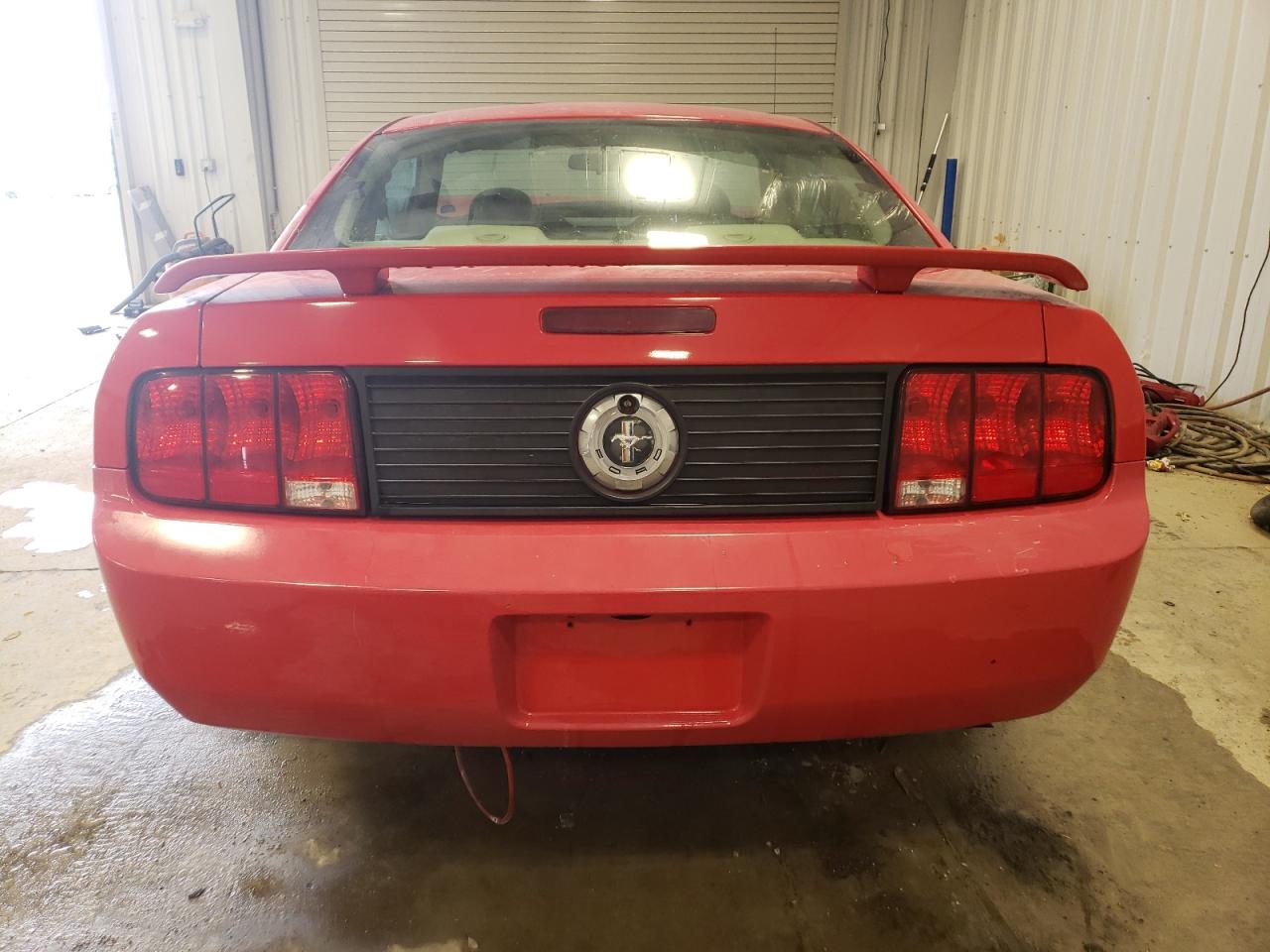 Photo 5 VIN: 1ZVHT80N165173118 - FORD MUSTANG 