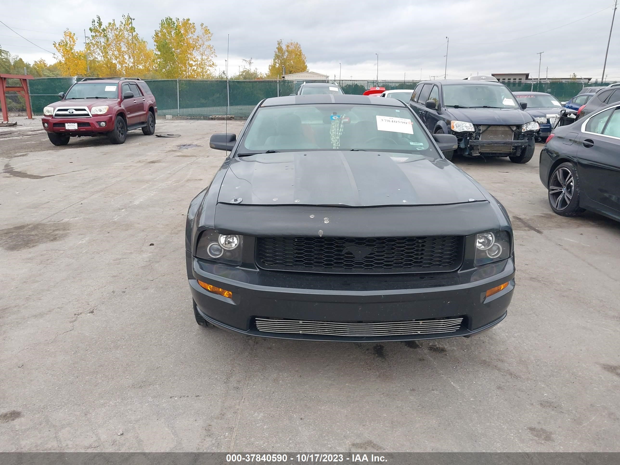 Photo 10 VIN: 1ZVHT80N175324220 - FORD MUSTANG 