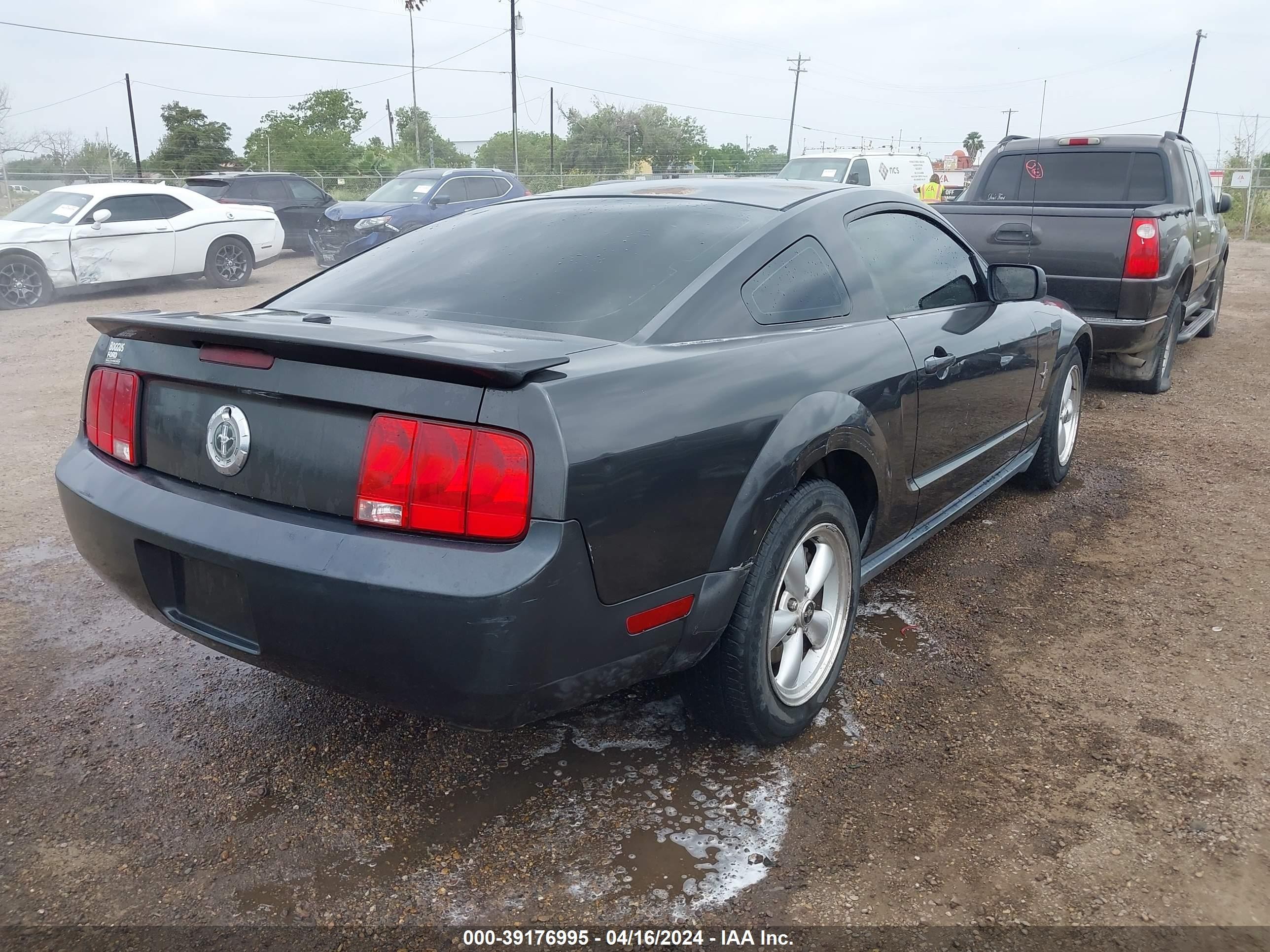 Photo 3 VIN: 1ZVHT80N285199942 - FORD MUSTANG 